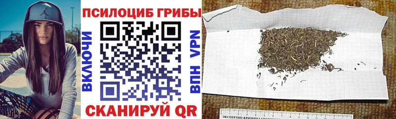 Галлюциногенные грибы Psilocybine cubensis  Константиновск 